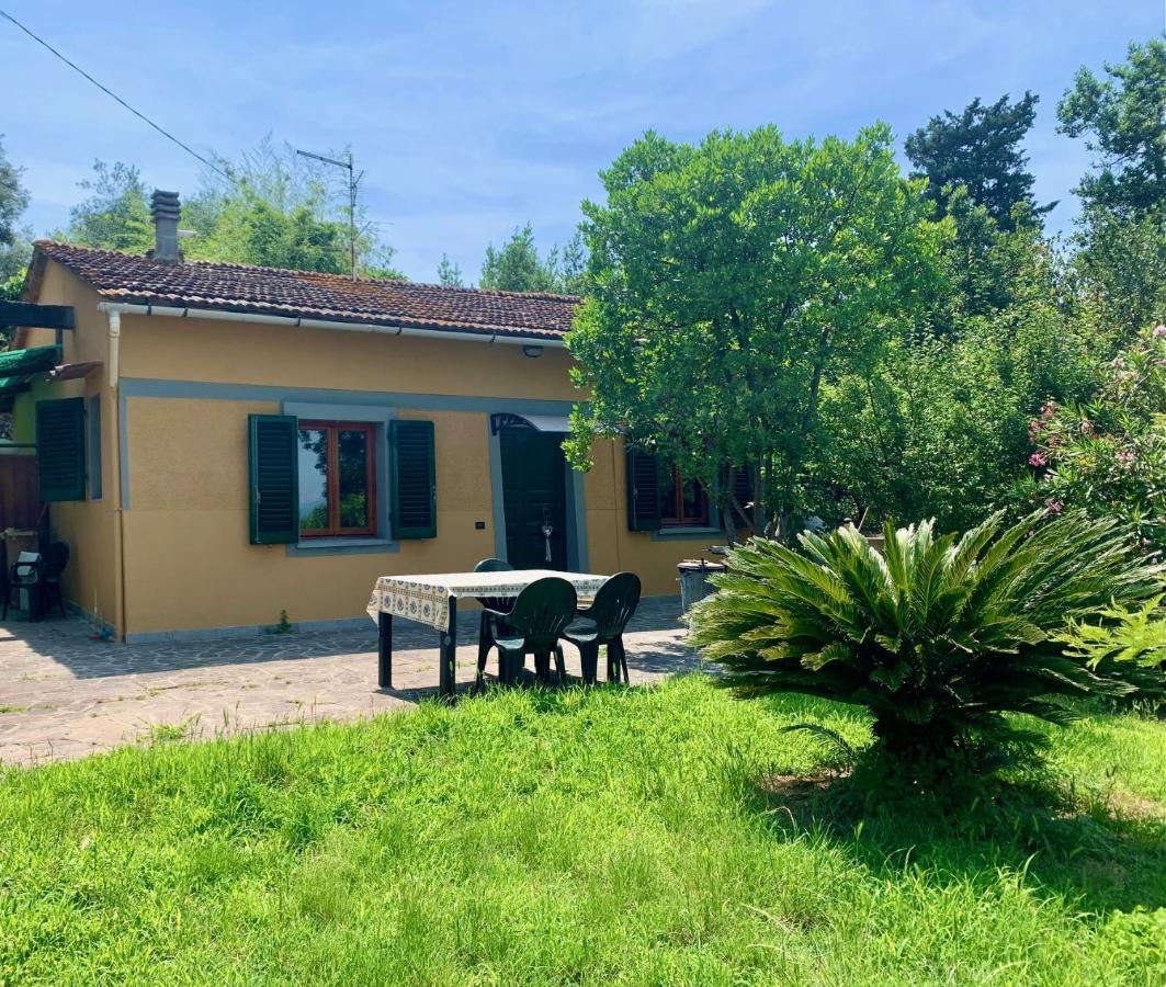 Villino Dragonfly Holiday home *